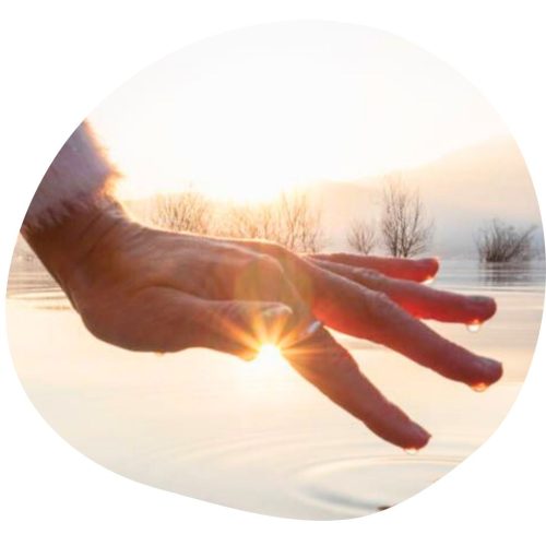 Untitled design (12)